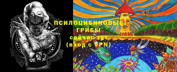 гидропоника Дмитровск