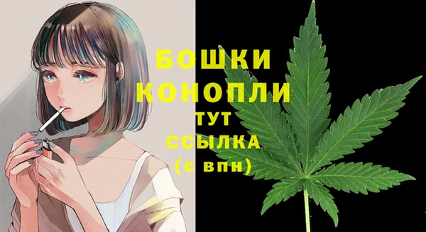 гидропоника Дмитровск